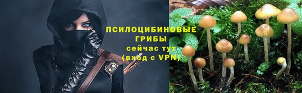 ECSTASY Медногорск